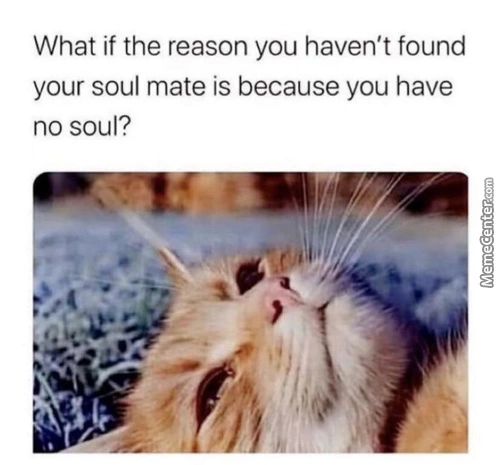 What If The Reason You Haven't Found
Your Soul Mate Is Because You Have
No Soul?
