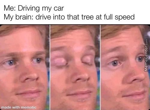 Me: Driving My Car
My Brain: Drive Into That Tree At Full Speed
Made With Mematie.

