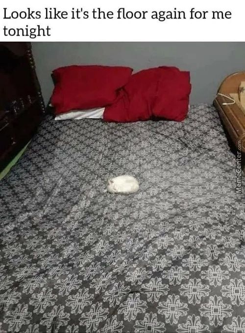 E Its Th
E Floor
Again
