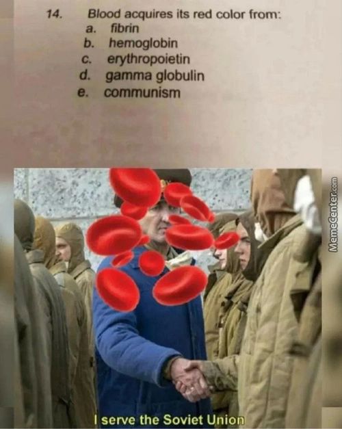14.
Blood Acquires Its Red Color From:
A.
B.
C.
D.
E.
Fibrin
Hemo»in
Erythropoietin
Gamma Globulin
Communism
Serve The Soviet Union
