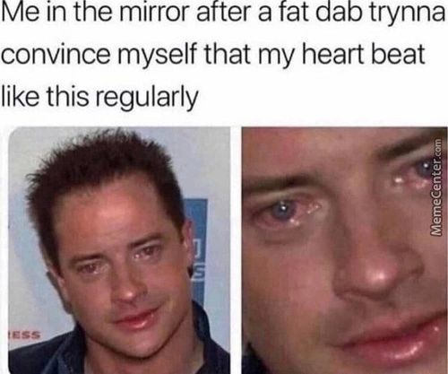 Me In The Mirror After A Fat Dab Trynna
Convince Myself That My Heart Beat
Like This Regularly
Tess
