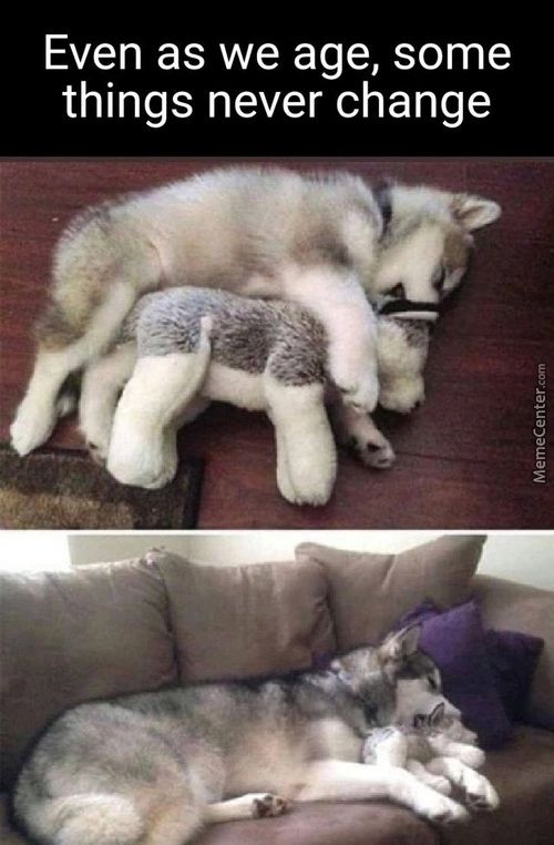 Even As We Age, Some
Things Never Change
