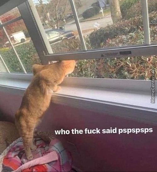 Who The Fuck Said Pspspsps
