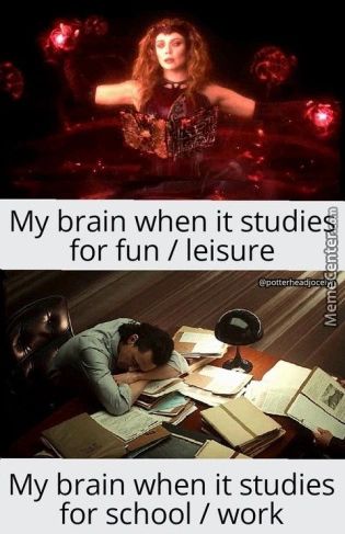 My Brain When It Studie
For Fun / Leisure
My Brain When It Studies
For School / Work
