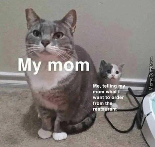 My M M
Me. Telling
Want To Order
From Th
