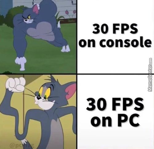 30 FPS
On Console
30 FPS
On PC
