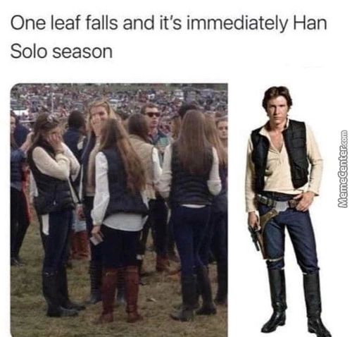 One Leaf Falls And It's Immediately Han
Solo Season
