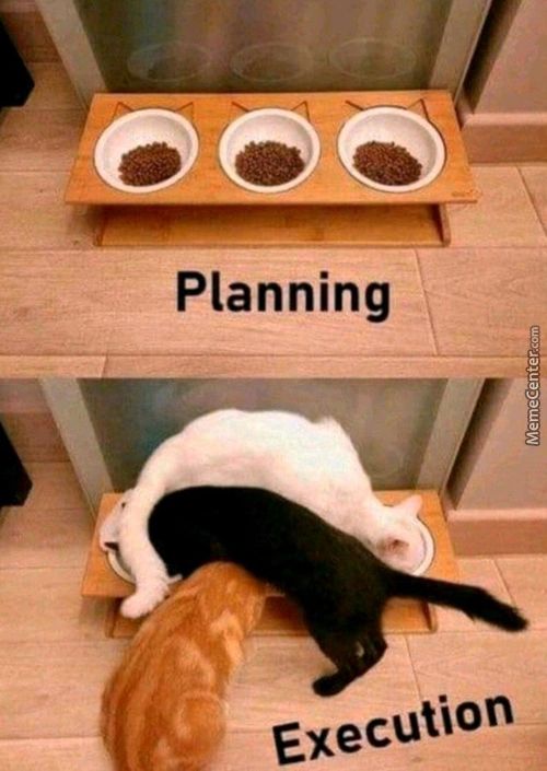 Planning
Execution
