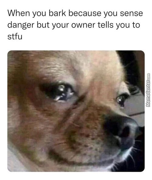 When You Bark Because You Sense
Danger But Your Owner Tells You To
Stfu
