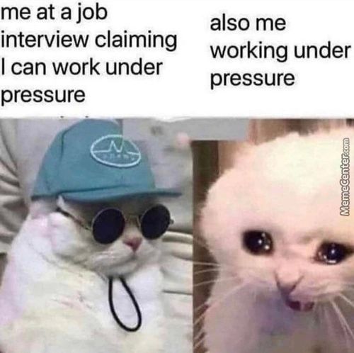 Me At A Job
Interview Claiming
I Can Work Under
Pressure
Also Me
Working Under
Pressure
