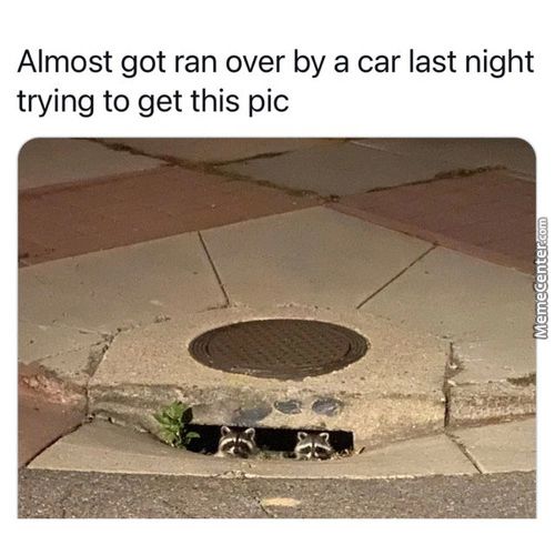 Almost Got Ran Over By A Car Last Night
Trying To Get This Pic
