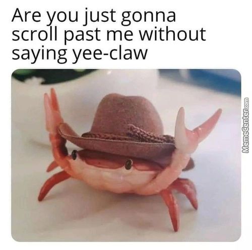 Are You Just Gonna
Scroll Past Me Without
Saying Yee-claw
