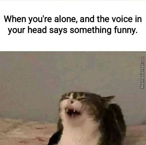 When You're Alone, And The Voice In
Your Head Says Something Funny.
