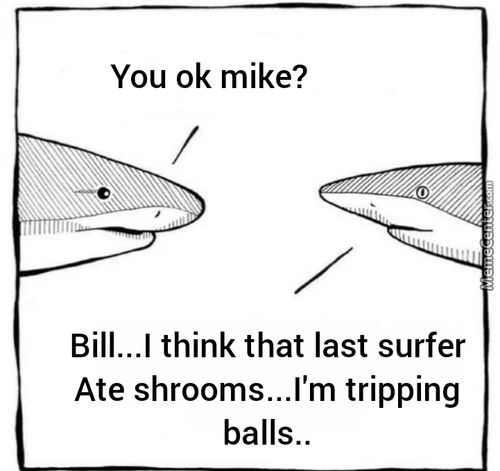 You 0k Mike?
Bill...l Think That Last Surfer
Ate Shrooms...l'm Tripping
Balls..
