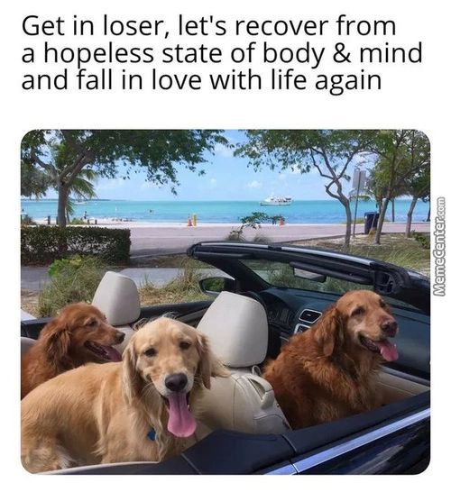 Get In Loser, Let's Recover From
A Hopeless State Of Body & Mind
And Fall In Love With Life Again
