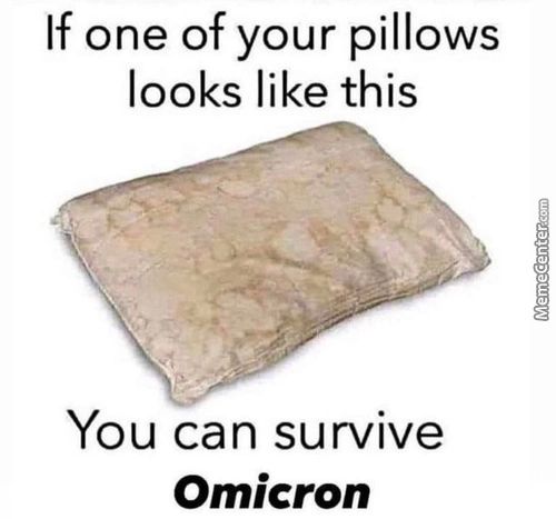 If One Of Your Pillows
Looks Like This
You Can Survive
Omicron
