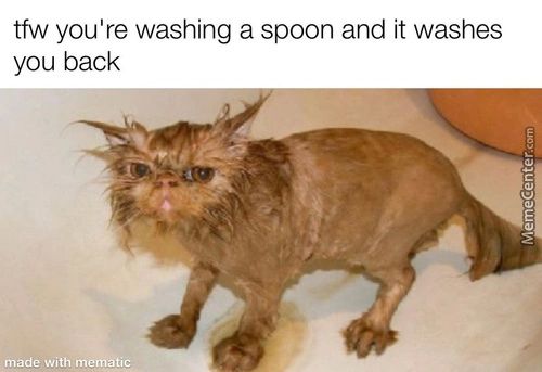 Tfw You're Washing A Spoon And It Washes
You Back
Mad 6 ÅQith
