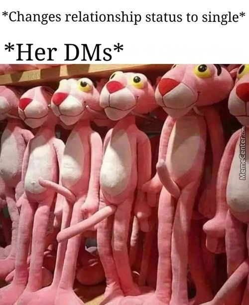 *Changes Relationship Status To Single*
*Her DMs*
