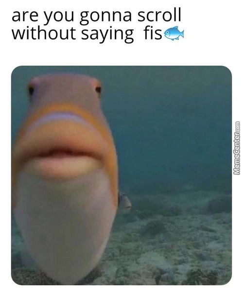 Are You Gonna Scroll
Without Saying Fis
