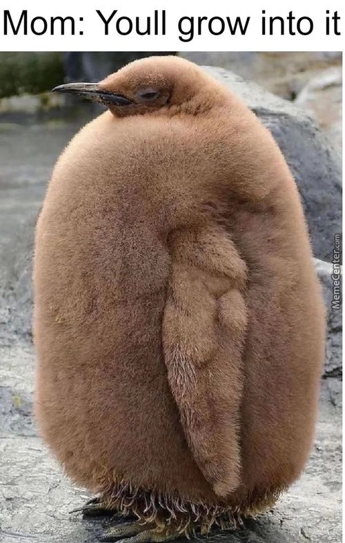 Mom: Youll Grow Into It
